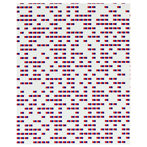 NUUNA Graphic L - Megapixel Defter