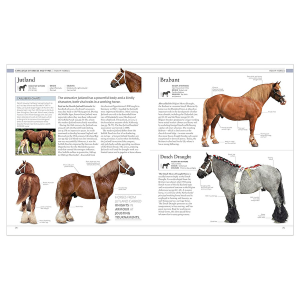 DK - The Horse Encyclopedia