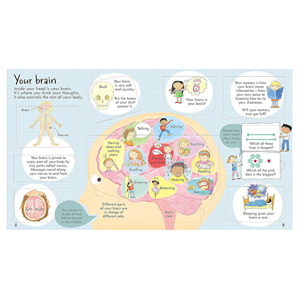 Look Inside Your Body