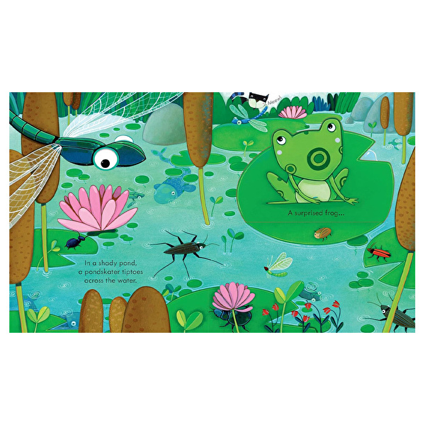 Peep Inside The Garden