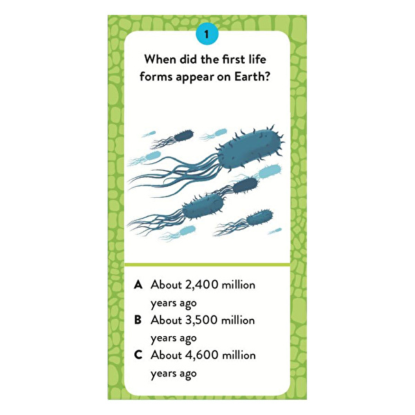 SASSI Dinosaurs - The Ultimate Atlas - New Edition