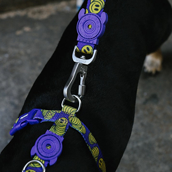 ZEE.DOG Lords Of Zee.Town Zmiley H-Harness Medium