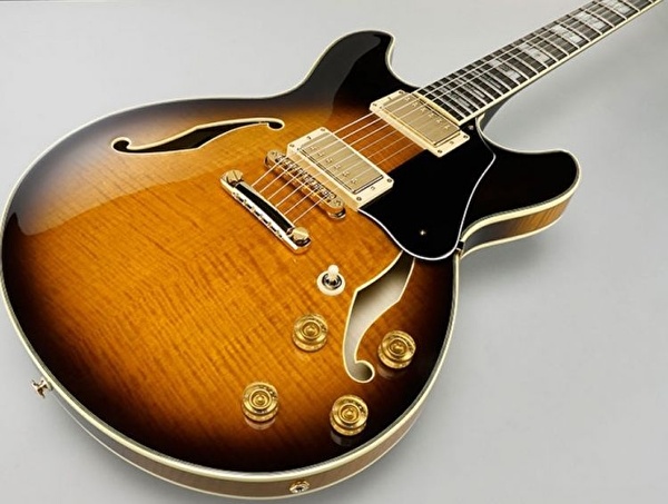 Ibanez JSM100-VT Elektro Gitar (Case Dahil)