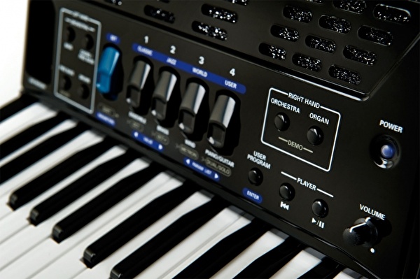 ROLAND FR-1X BK V-ACCORDION - Dijital Akordiyon (Siyah)