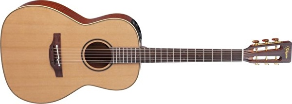 TAKAMINE P3NY SERIES 3 Elektro Akustik Gitar