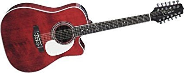 Takamine John Jorgenson JJ325SRC Elektro Akustik Gitar