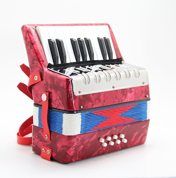 BEE DF911 - 17 Tuş Mini Akordiyon