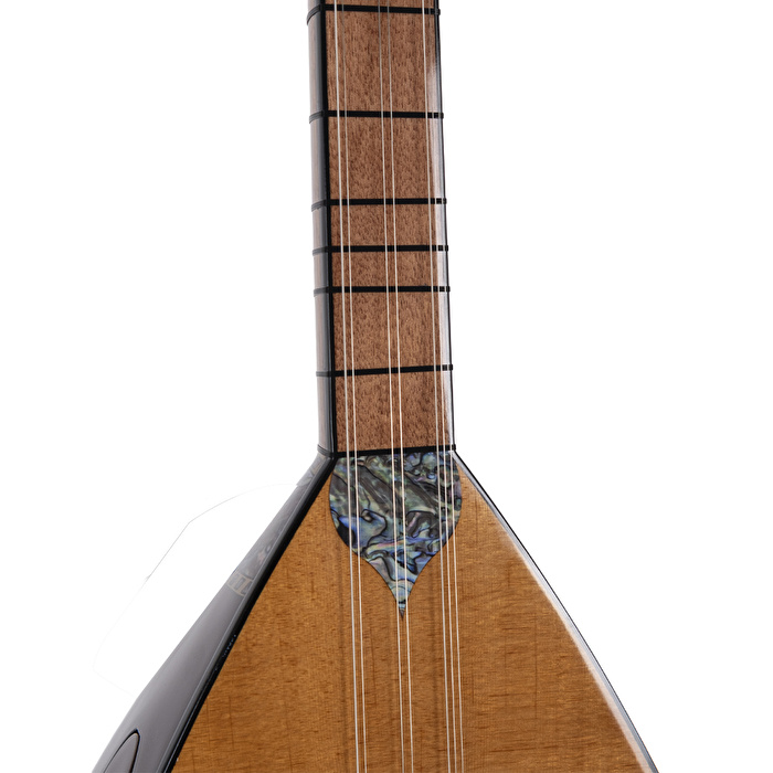 Çınar Ağacı Gövde Kısa Sap Bağlama