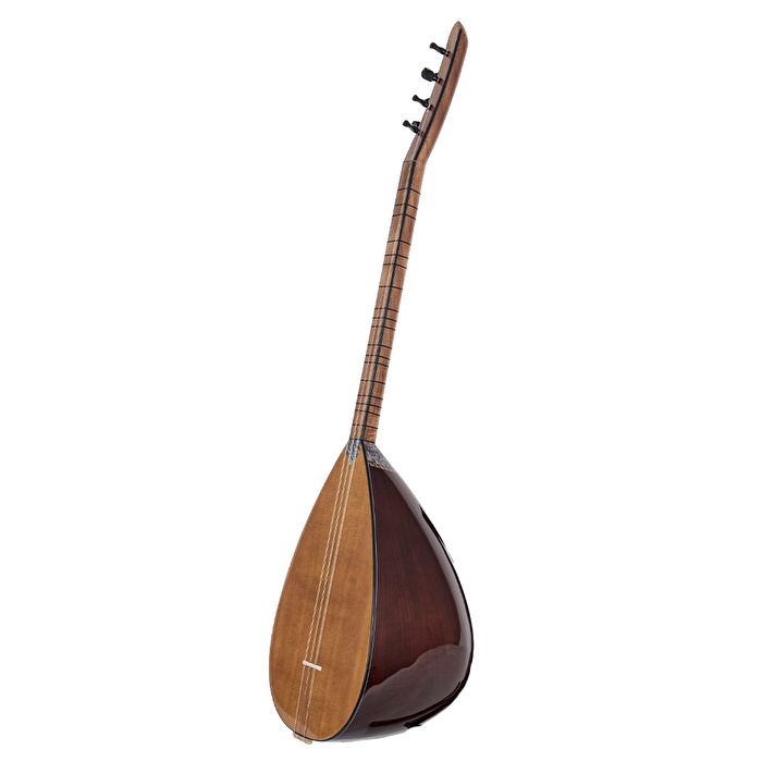 Çınar Ağacı Gövde Kısa Sap Bağlama