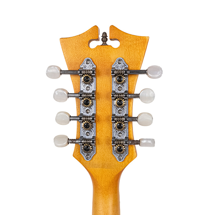 D’ANGELICO DAMFSSAMBE Elektro Mandolin