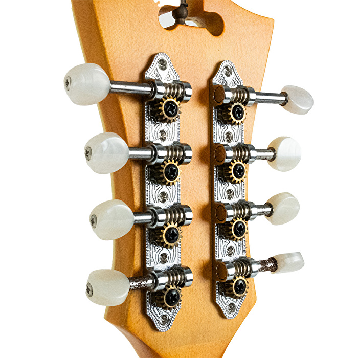 D’ANGELICO DAMFSSAMBE Elektro Mandolin