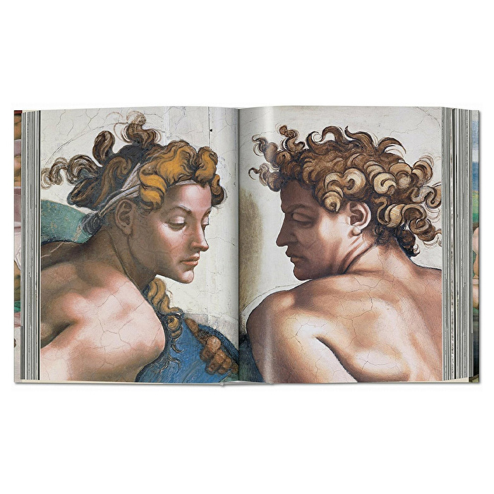 Michelangelo - The Complete Works