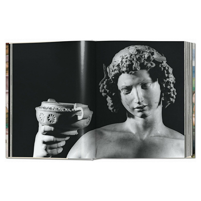 Michelangelo - The Complete Works