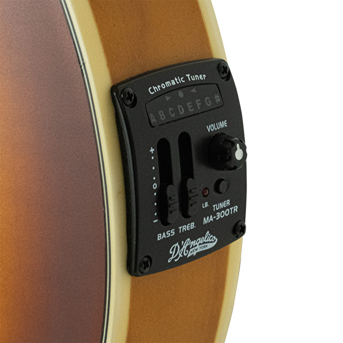 D’ANGELICO DAMFSSATWE Elektro Mandolin