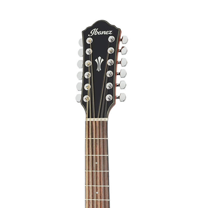 IBANEZ AEG5012-BKH 12 Telli Elektro Akustik Gitar