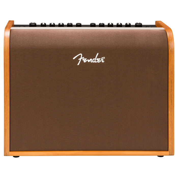 Fender Acoustic 100 Akustik Gitar Amfisi
