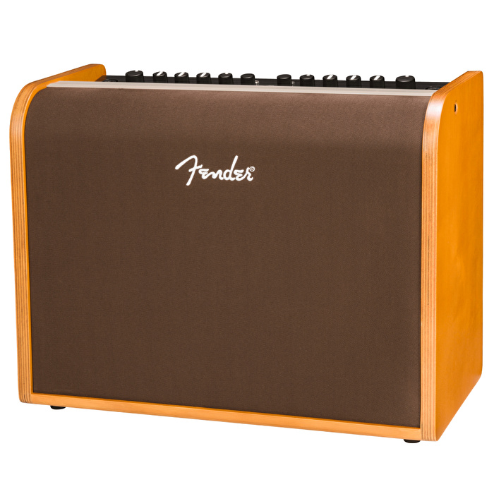 Fender Acoustic 100 Akustik Gitar Amfisi