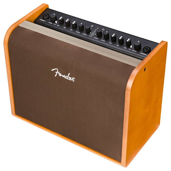 Fender Acoustic 100 Akustik Gitar Amfisi
