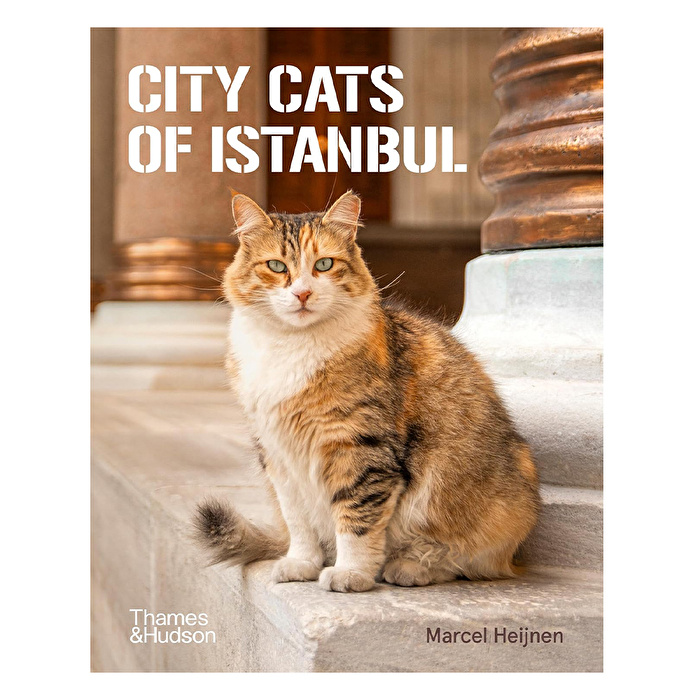 Thames Hudson - City Cats of Istanbul