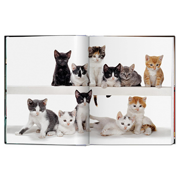 Taschen - Walter Chandoha. Cats. Photographs 1942–2018