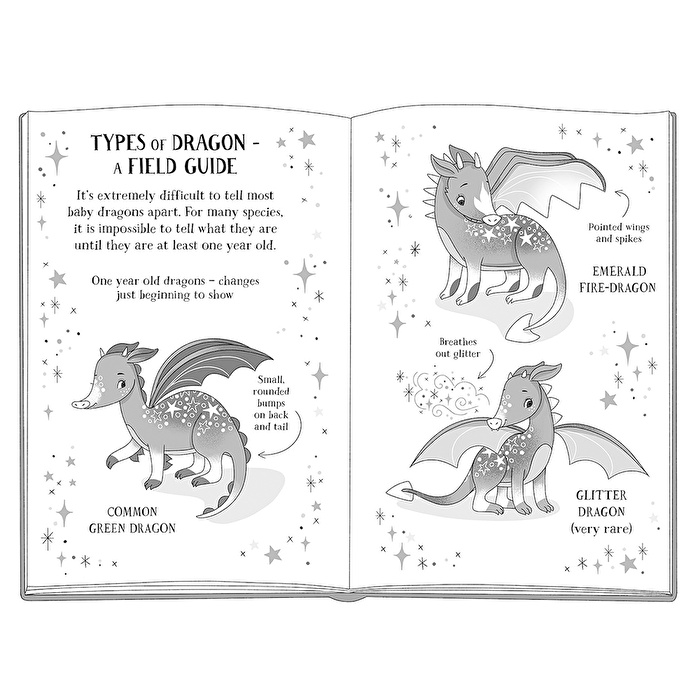 Baby Dragon