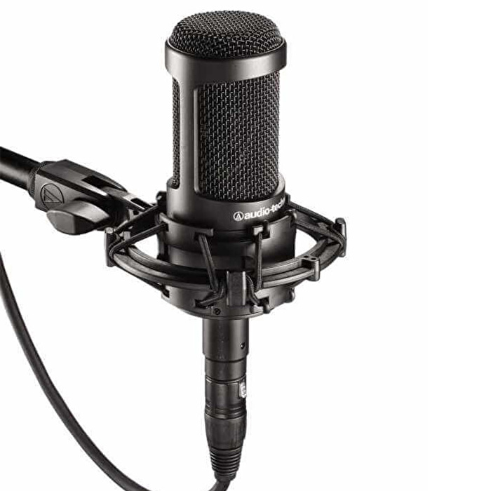 AUDIO TECHNICA AT2035 Condenser Mikrofon