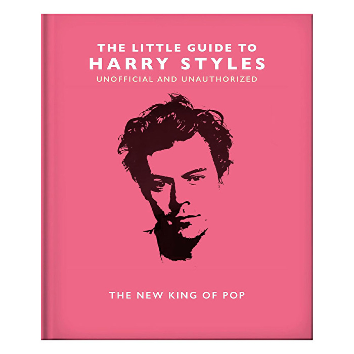 The Little Guide To Harry Styles