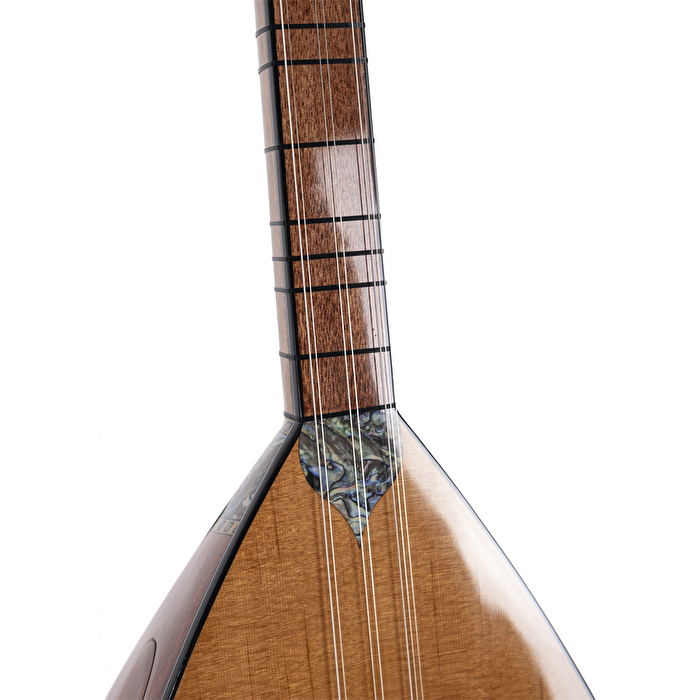 Maun Ağacı Gövde Kısa Sap Bağlama