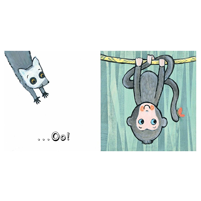 Jane Cabrera - Peek-a-boo Zoo!