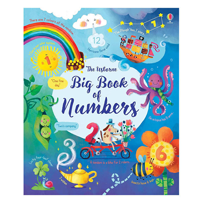 Big Book Of Numbers