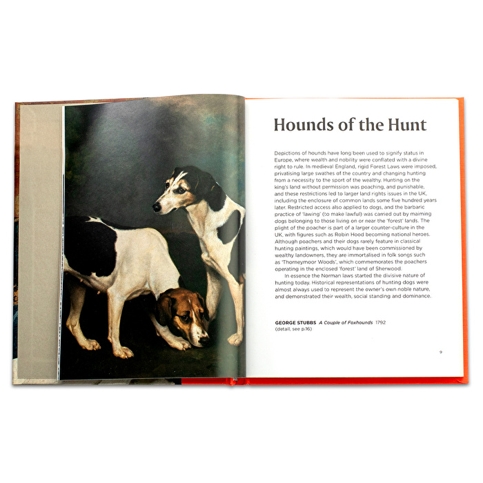 The Dog