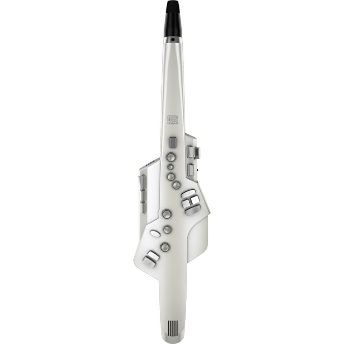 ROLAND AE-10 Aerophone Dijital Saksafon