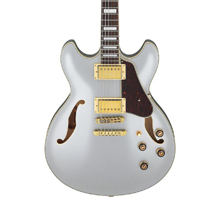 Ibanez AS73G-MSF Elektro Gitar