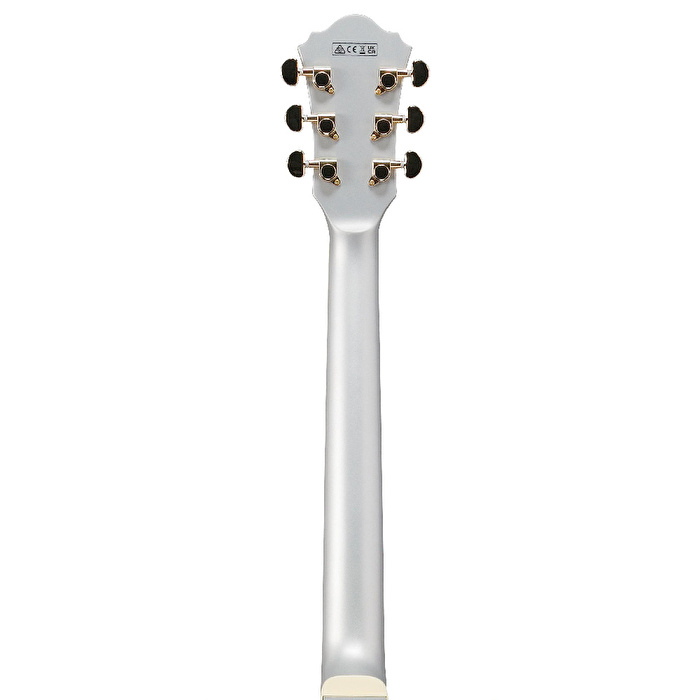 Ibanez AS73G-MSF Elektro Gitar