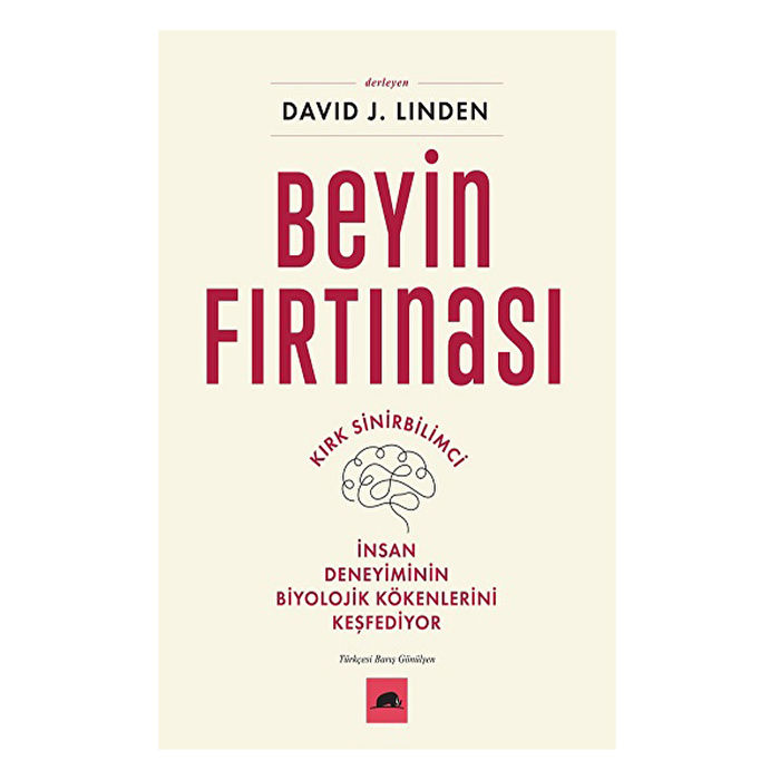 Beyin Fırtınası