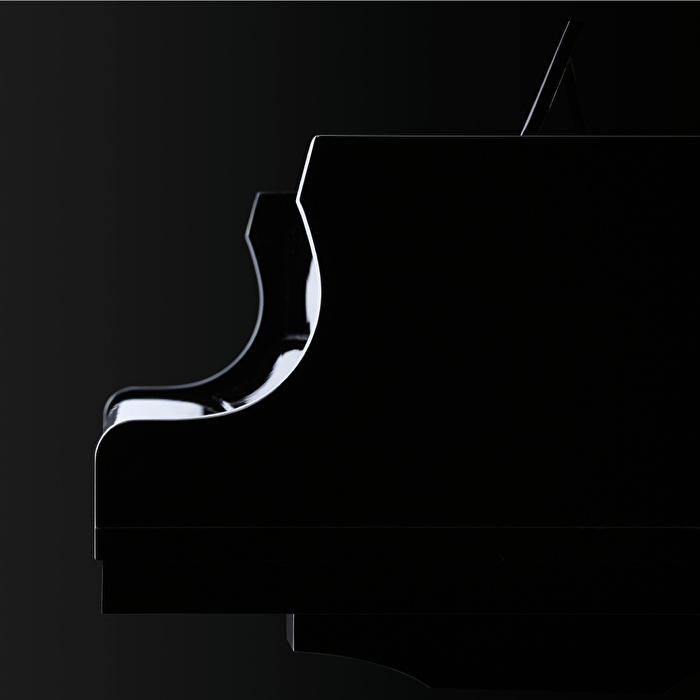 KAWAI GX-2 AR2R M/PEP AURES Parlak Siyah 180 CM Silent Kuyruklu Piyano