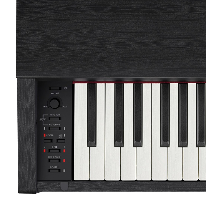 CASIO PX-870BN Privia Gülağacı Dijital Piyano (Kulaklık Hediyeli)