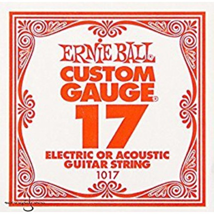 Ernie Ball P01017 .017 Steel Plain Tek Tel
