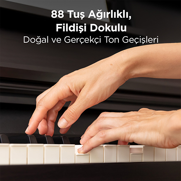 ROLAND RP30-CRL Gülağacı Dijital Duvar Piyanosu (Tabure & Kulaklık Hediyeli)