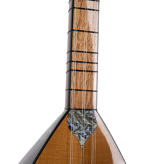 Ceviz Ağacı Gövde Kısa Sap Bağlama