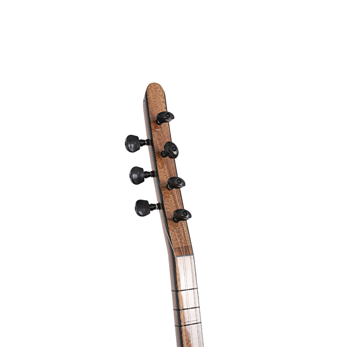 Ceviz Ağacı Gövde Kısa Sap Bağlama