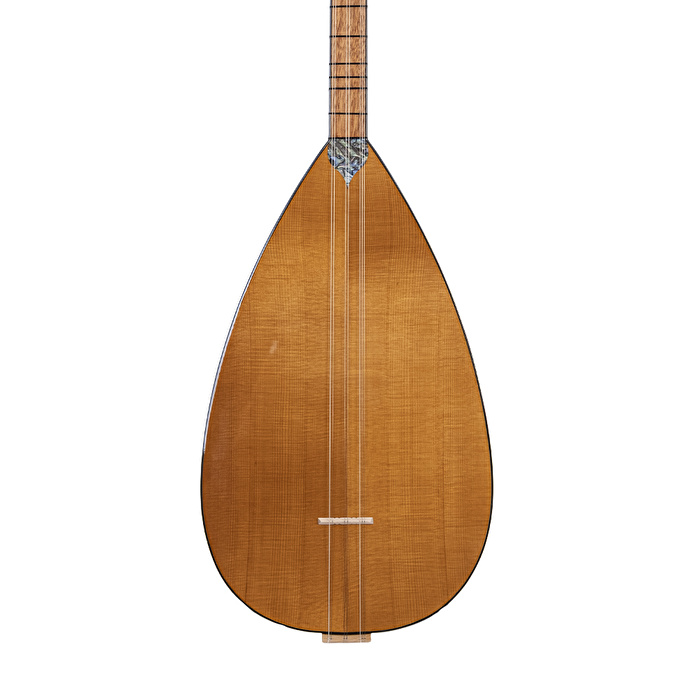 Ceviz Ağacı Gövde Kısa Sap Bağlama