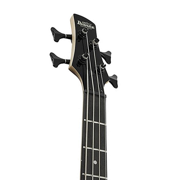 Ibanez GSR280QA-TYS GSR Serisi Bas Gitar