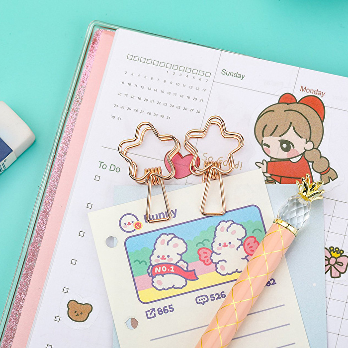 KAYIGO Tiny Paslanmaz Çelik Çiçek Klips Altılı -Rose