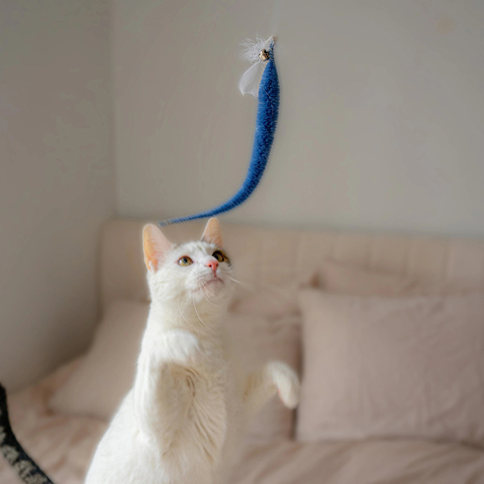 KIKKERLAND Kedi Oyuncağı - Wand