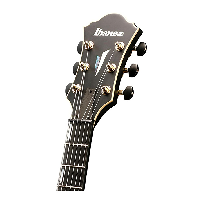 IBANEZ AFC125-BKF Elektro Gitar