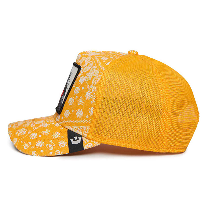 GOORIN BROS Spray Paint Arch Şapka