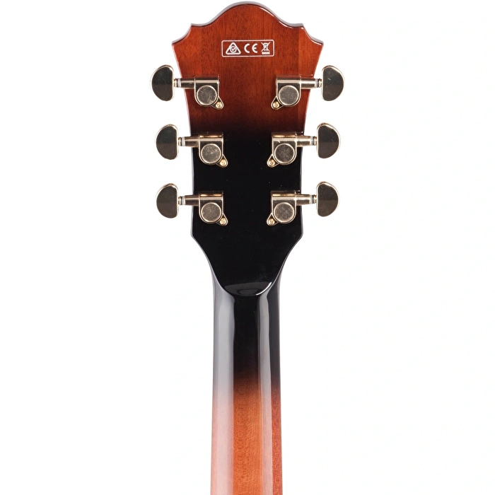 IBANEZ AG95QA-DBS AG Elektro Gitar