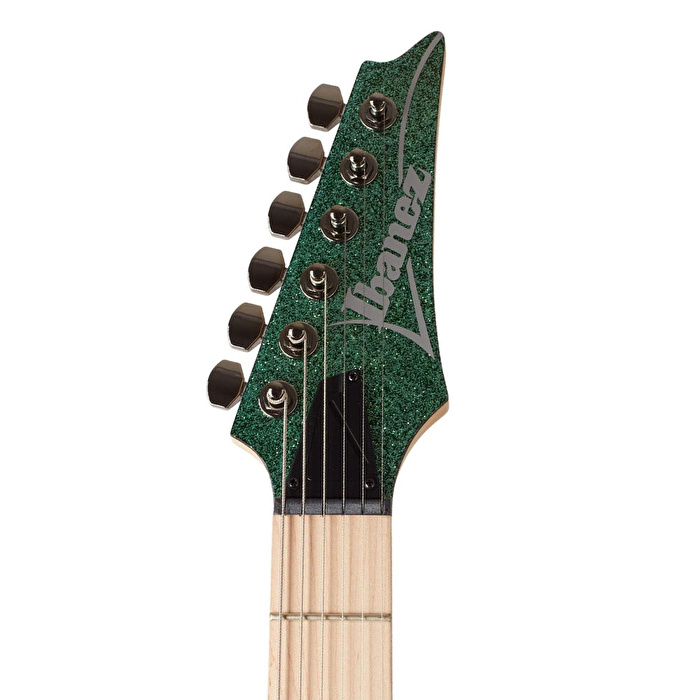 IBANEZ RG421MSP-TSP Elektro Gitar