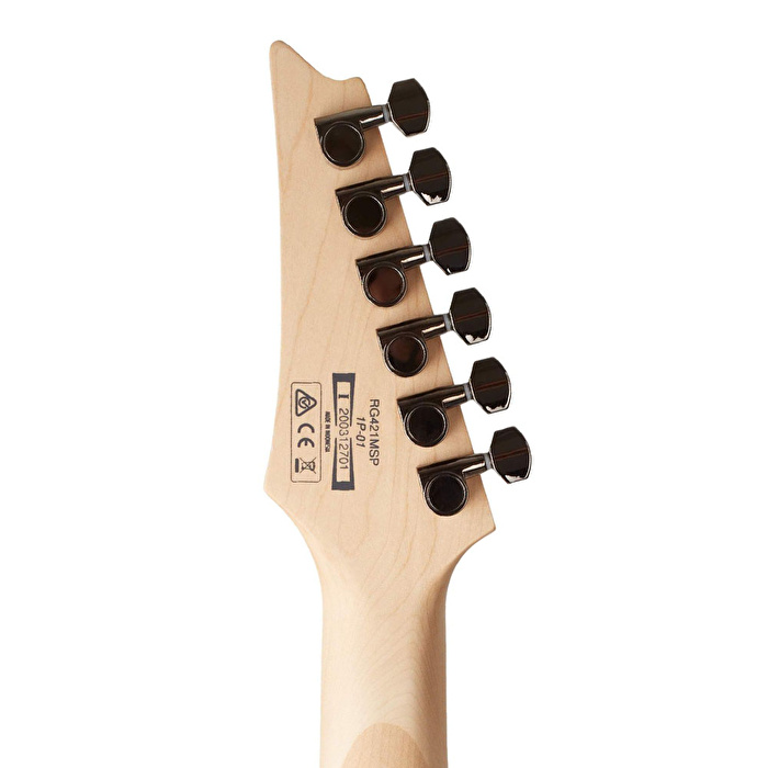 IBANEZ RG421MSP-TSP Elektro Gitar